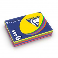 Trophee A4 papier INTENSIEF ASSORTI 80 gram