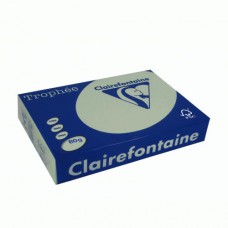 Trophee A4 papier LICHTGROEN 80 gram