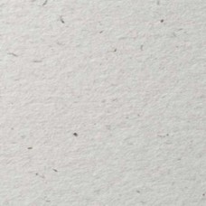 Flora anice papier A4 papier GRIJS-WIT 130 gram - 9x250 vel